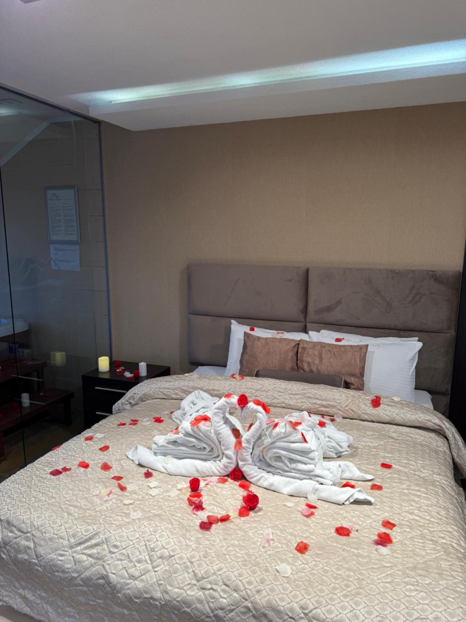 Guest House Panorama Aqualux With Free Parking Novi Sad Esterno foto